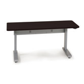 Ergonomic Elevate II Electric Lift Table
