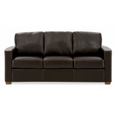 Carlten Sleeper Sofa