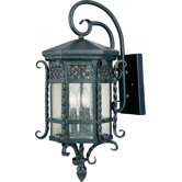 Scottsdale Outdoor Wall Lantern in Country Forge