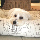 Rectangular Dog Day Bed