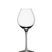 Difference Fruit White Wine Glass (Set of 4)