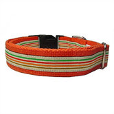 Super Stripe Cotton Dog Collar