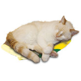 Banana Recycled Paper Scratching Board