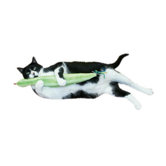 Cat 'n Around Slither 'n Snake Catnip Toy