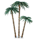 Palm Tree