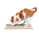 Lo Floor Wood Cat Scratcher