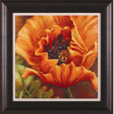 Orange Poppy Framed Artwork