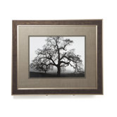 Oak Tree, Sunset City Framed Artwork