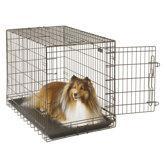 Economy Crate Black Folding Wire Dog Crate