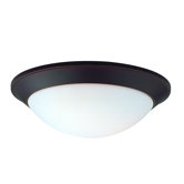 Rainier 1 Light Flush Mount
