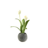 Tulips with Foliage in Stone Ball Planter