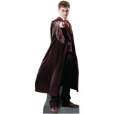 Harry Potter Cardboard Stand-Up