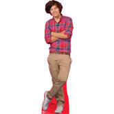 One Direction - Harry Lifesized Standup