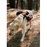 Wander Pack Dog Backpack