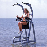 High Impact Commercial Chin/Dip/Leg Raise