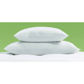 Frontier Euro Pillow