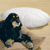 Oval Pet Bed