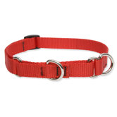 Solid Color 3/4" Adjustable Medium Dog Combo Collar