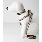Varsity Stripe Dog Harness