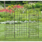 Ogee Trellis