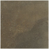 Floor & Wall Tile