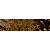 Metropolitan Slate 3" x 12" Bullnose in Urban Jungle