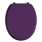 Toilet Seat in Purple