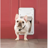 Pet Doors