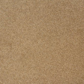 Legato Embrace Carpet Tile in Muffin