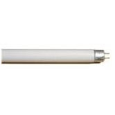 T5 24W HO 6500K Bulb in White