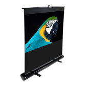 MaxWhite ez-Cinema Series Floor Stand TeleScoping Pull Up Screen - 120" Diagonal