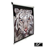 Ceiling/Wall Mount Manual Pull Down Projection Screen