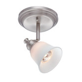 Alcee One Light Wall/Ceiling Lamp in Polished Steel