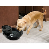 Pioneer Ceramic Big Max Fountain Pet Fountain