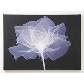X-Ray Flower Printed Canvas Art