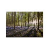 Bluebell Landscape Printed Canvas Art - 30" X 40"