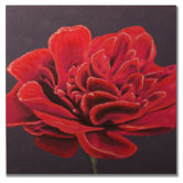 Handpainted Red Poppy Printed Canvas Art - 24" X 24"