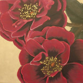 Handpainted Two Plum Roses Printed Canvas Art - 24" X 24"