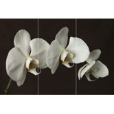 Orchid Canvas (set of 3)