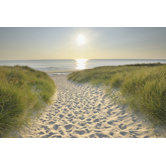 Beach Walk Canvas (set of 3)