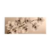 Orchid Branch Canvas