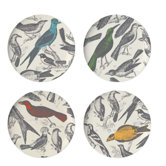 Ornithology Dinner Plate (Set of 4)