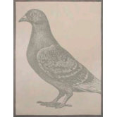 New York Tea Towel in Storm