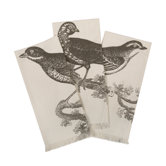 Ornithology Hand Towel Set