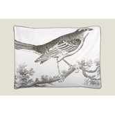 Ornithology Sham Set