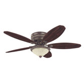 Ceiling Fans with Lights