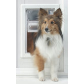 VIP Medium Pet Door