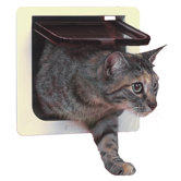 Cat Door with 4 Way Lock Pet Door
