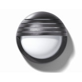 23,9cm Wandleuchte in Schwarz