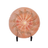 Salmon Charger with Stand